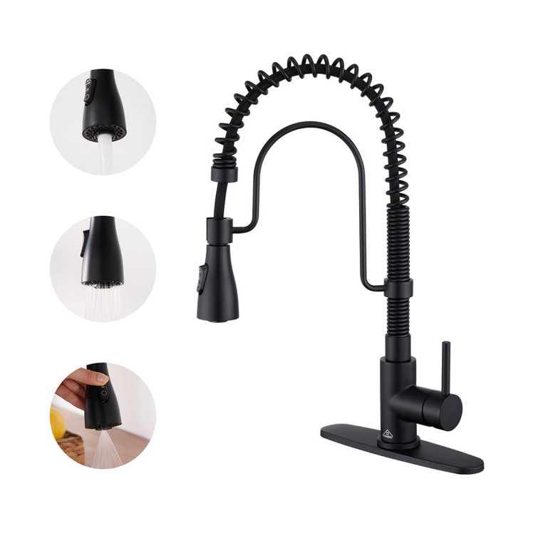Matte Black Stainless Steel Pull-Down Kitchen Faucet with Spray