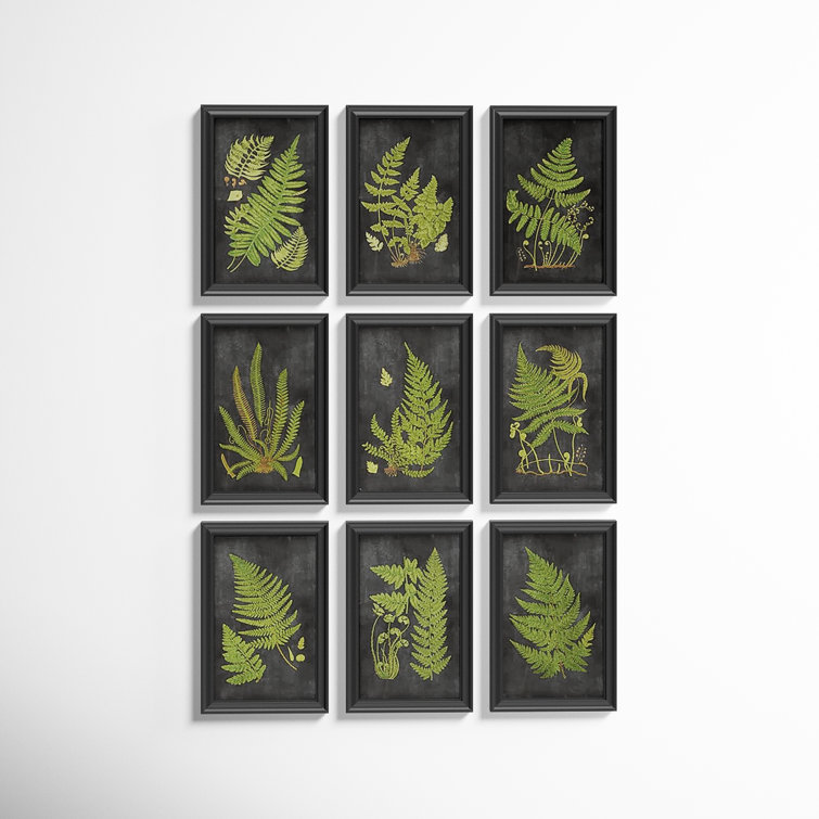 Black Solid Wood Gallery Wall Frame Set with Fern Graphic Art Prints