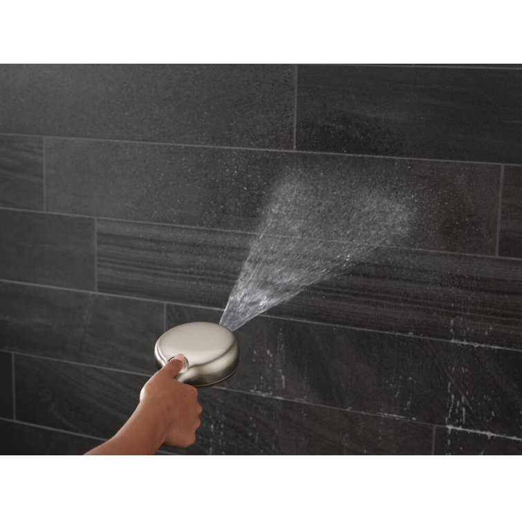 SpotShield Brushed Nickel Multi-Function Handheld Shower Head
