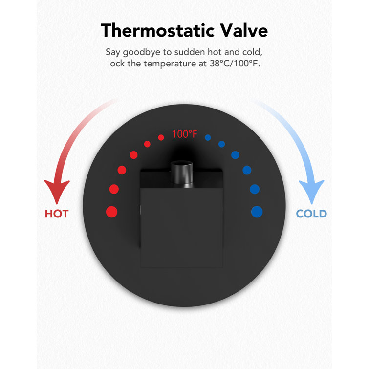 Matte Black Dual Showerheads with Thermostatic Valve