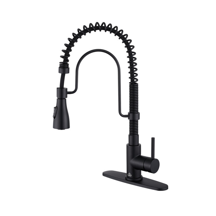 Matte Black Stainless Steel Pull-Down Kitchen Faucet with Spray
