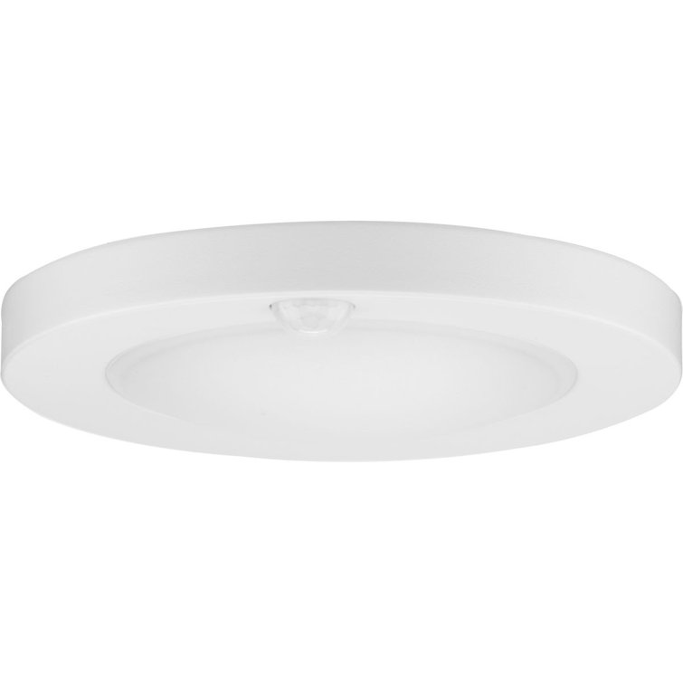 White LED Indoor/Outdoor Drum Flush Mount Light
