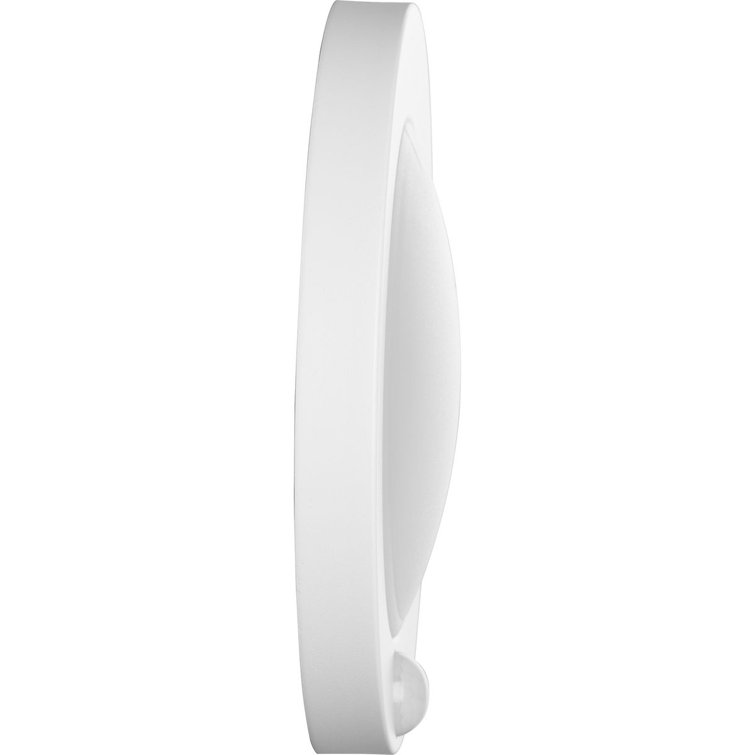 White LED Indoor/Outdoor Drum Flush Mount Light