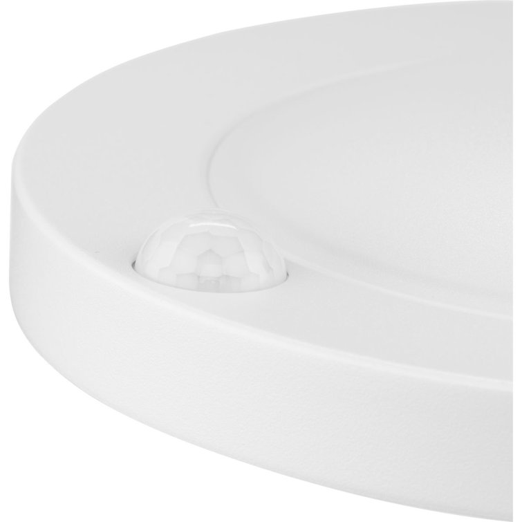 White LED Indoor/Outdoor Drum Flush Mount Light