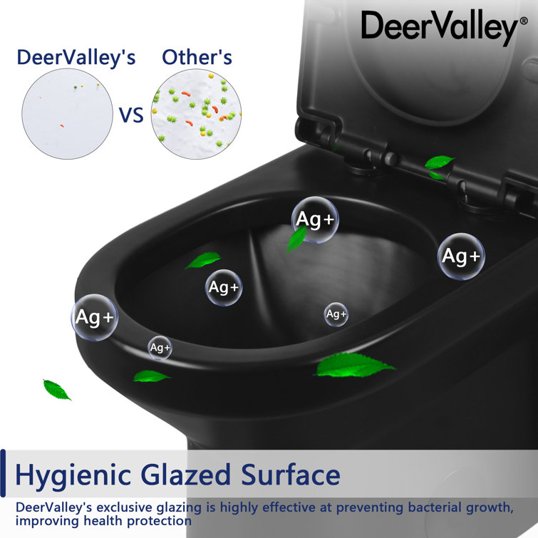 Compact Black Ceramic Dual Flush Round Toilet with Quiet-Close Seat