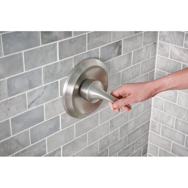 Spot Resist Brushed Nickel Dual Shower Head with Handheld