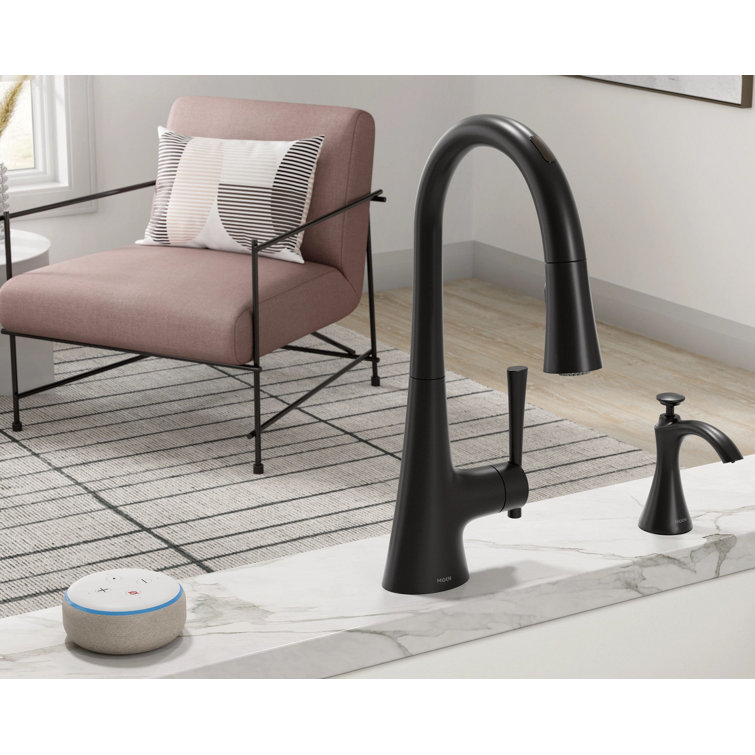 Matte Black Stainless Steel Transitional Soap Dispenser