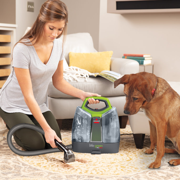 Bissell Green Portable Handheld Upholstery Steamer Cleaner