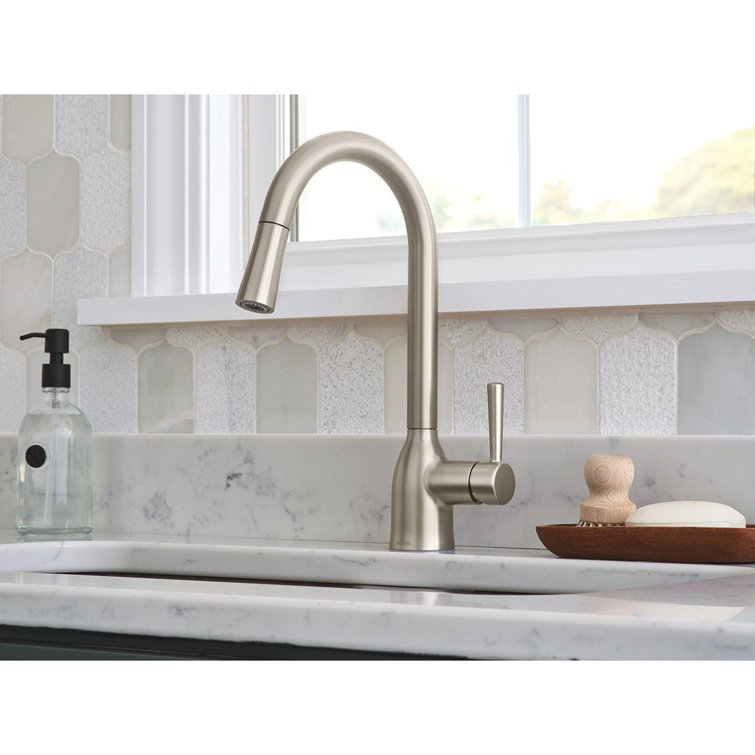 Adler Stainless Steel Pull-Down Kitchen Faucet with Spray