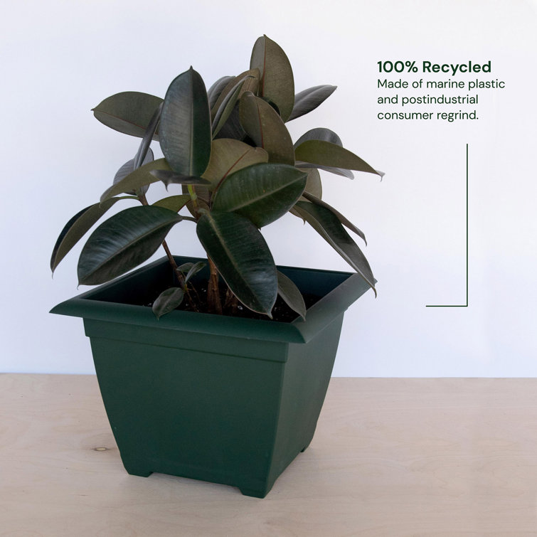 Eco-Friendly Turtle Green 15" Square Self-Watering Planter Box