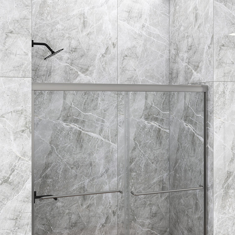 60 in. Chrome Framed Double Sliding Shower Door with Clear Glass
