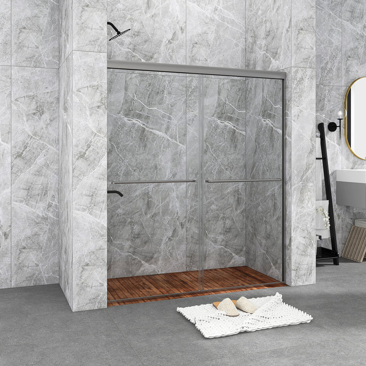 60 in. Chrome Framed Double Sliding Shower Door with Clear Glass