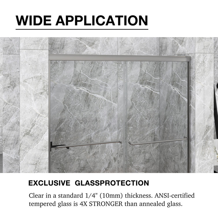 60 in. Chrome Framed Double Sliding Shower Door with Clear Glass