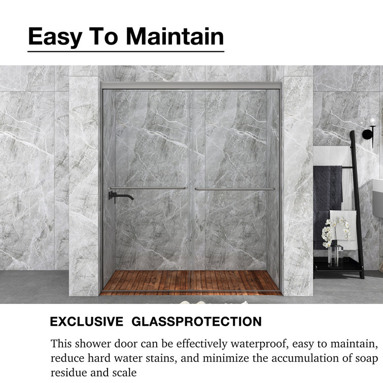 60 in. Chrome Framed Double Sliding Shower Door with Clear Glass