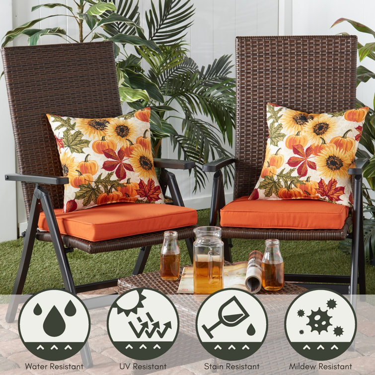 Marisol Floral 17" Square Outdoor Throw Pillow Set