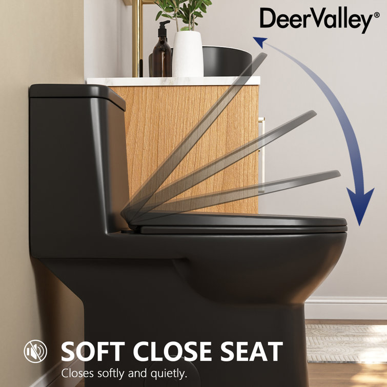 Black Elongated One-Piece High Efficiency Dual Flush Toilet