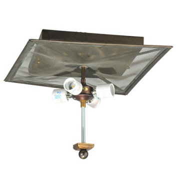 Rustic Bronze Globe 2-Light Flush Mount with Grizzly Bear Design