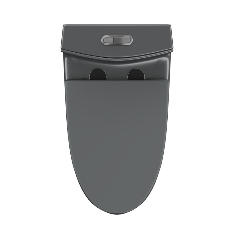 Reno Matte Black Elongated Dual Flush One-Piece Toilet