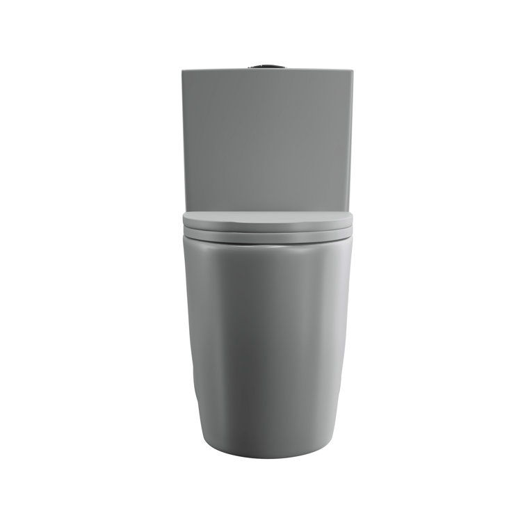Reno Glacier Gray Elongated Dual Flush One-Piece Toilet