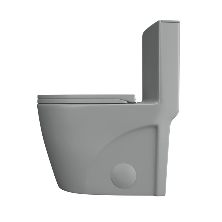 Reno Glacier Gray Elongated Dual Flush One-Piece Toilet