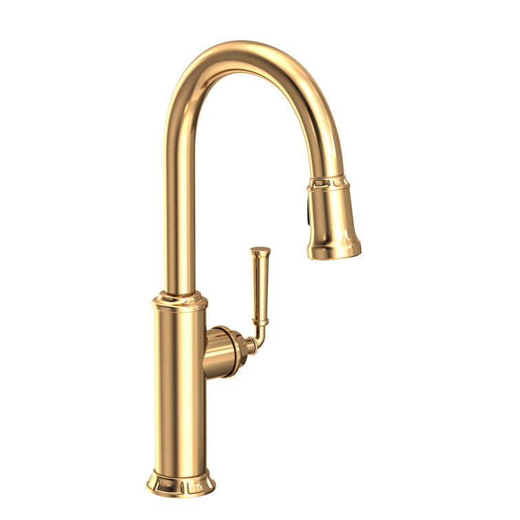 Gavin Polished Brass Single Handle Pull Down Kitchen Faucet