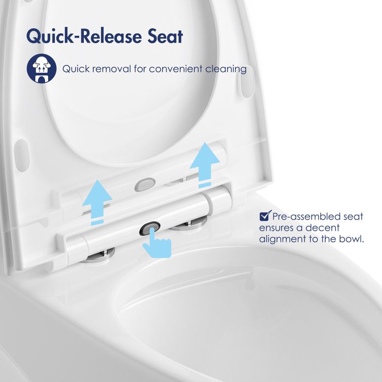 White Elongated Dual Flush High Efficiency One-Piece Toilet