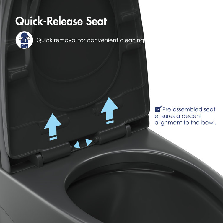 Reno Matte Black Elongated Dual Flush One-Piece Toilet