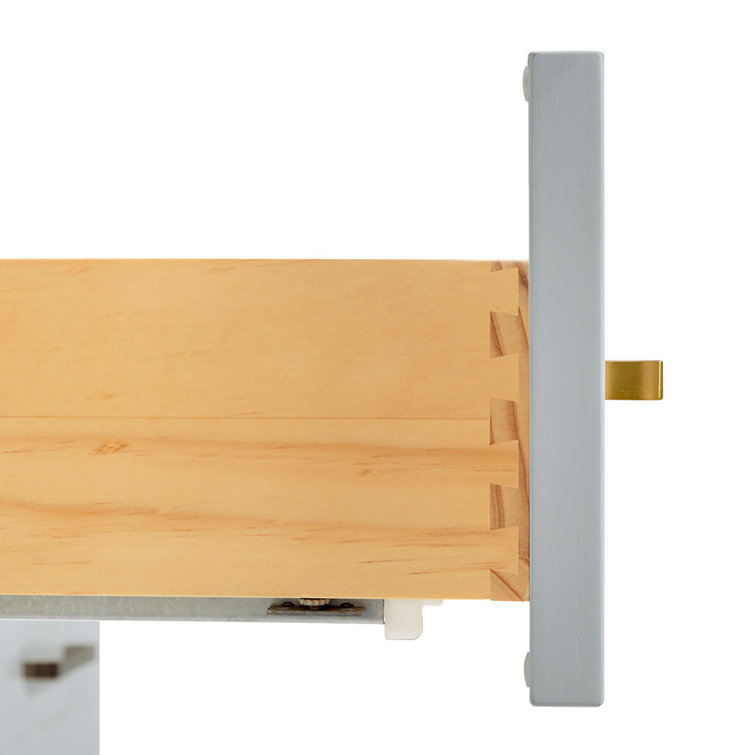 Taylor 48'' Gray Freestanding Bathroom Vanity with Brass Hardware