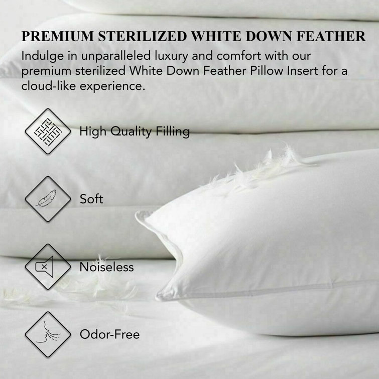 White Down Feather Filled 22" Square Throw Pillow Inserts, Set of 2