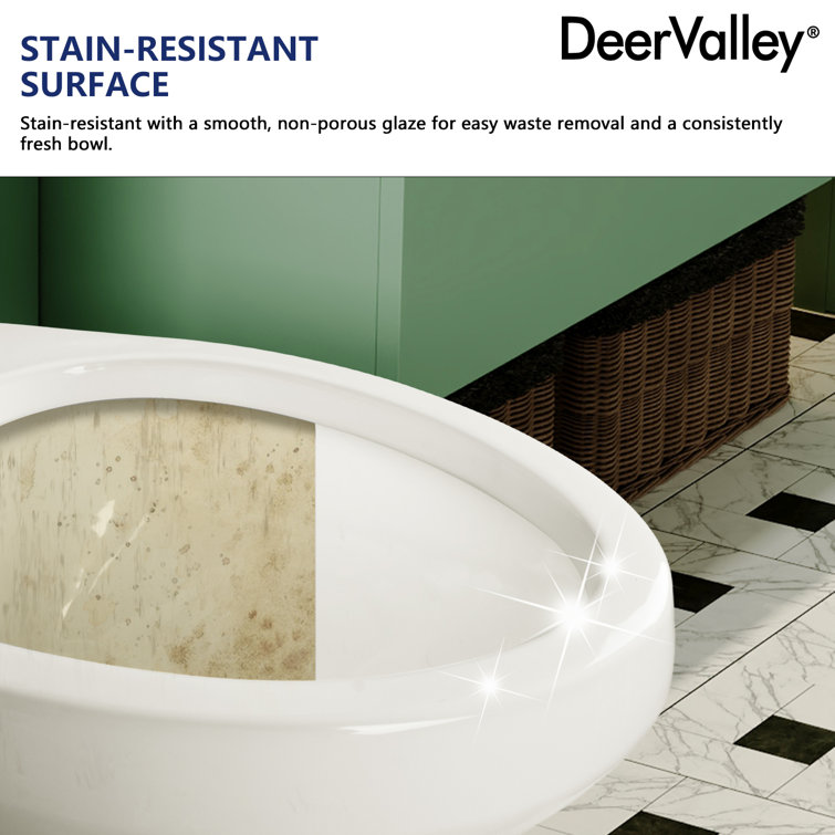 21-Inch White Ceramic Elongated High Efficiency Toilet