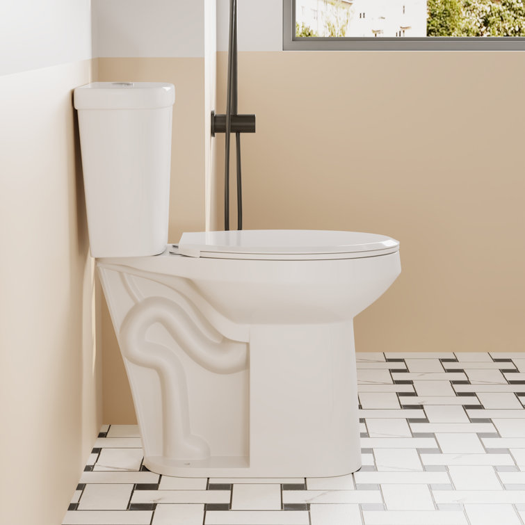 21'' White Ceramic Dual-Flush Elongated Two-Piece Toilet with Seat