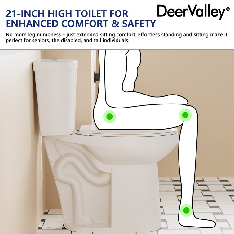 21'' White Ceramic Dual-Flush Elongated Two-Piece Toilet with Seat