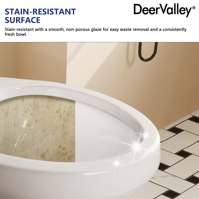 21'' White Ceramic Dual-Flush Elongated Two-Piece Toilet with Seat