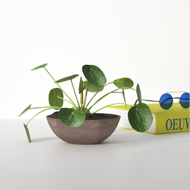 Taupe Eco-Friendly PSW 8'' Round Garden Bowl Planter