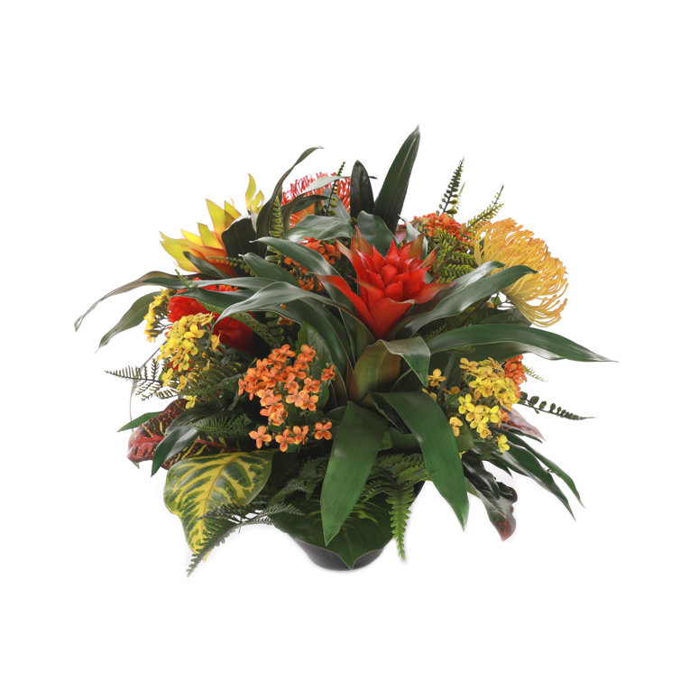 Vibrant Tropical Bromeliad Arrangement in Oval Zinc Pot