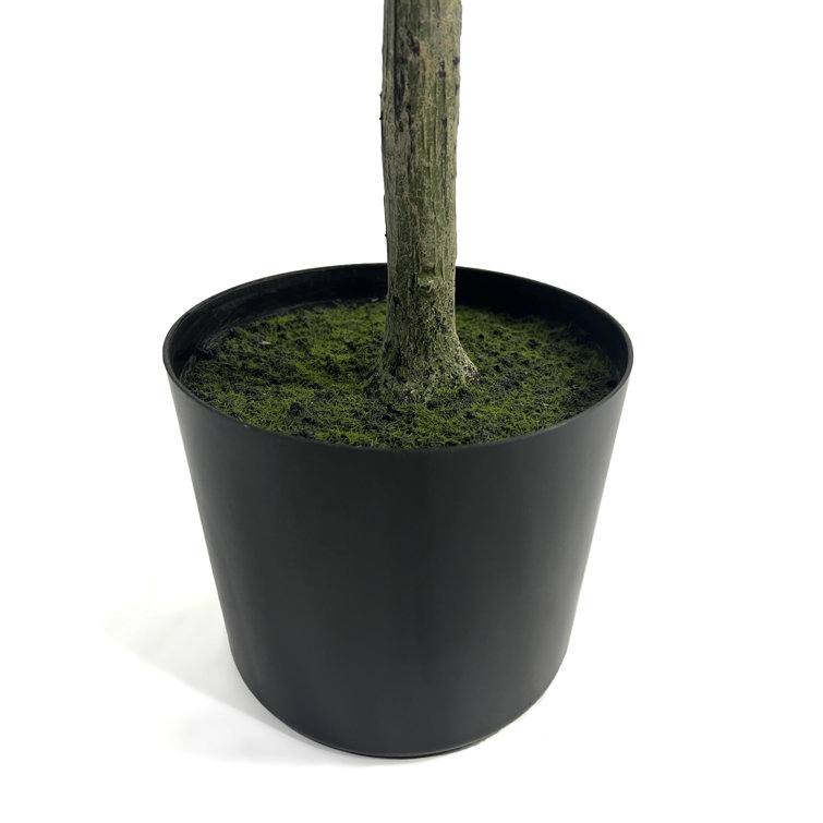 59" Tall Green Faux Olive Tree in Black Plastic Pot
