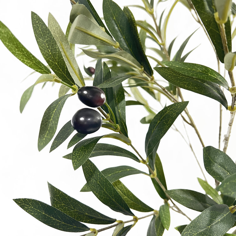 59" Tall Green Faux Olive Tree in Black Plastic Pot