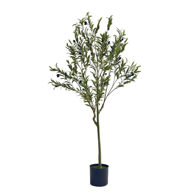 59" Tall Green Faux Olive Tree in Black Plastic Pot