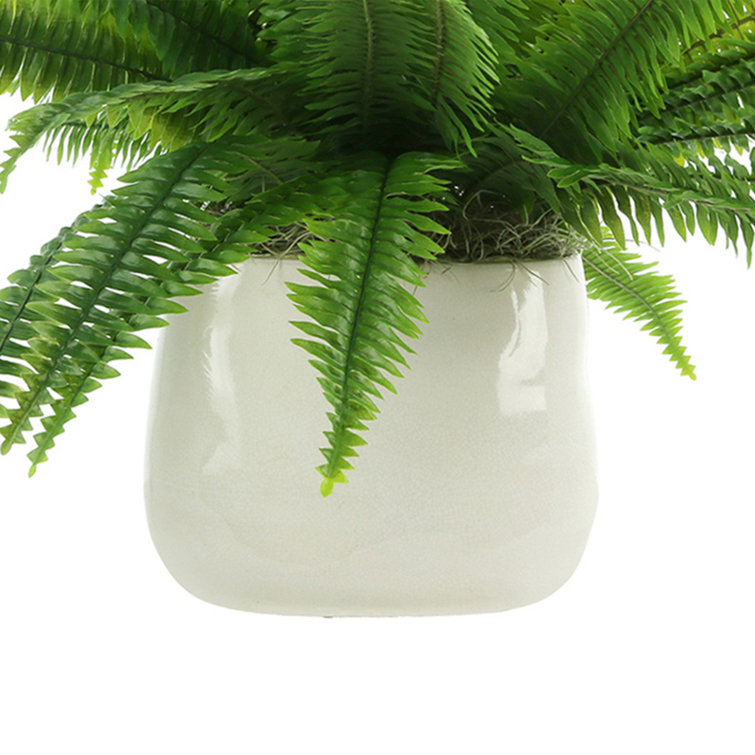 Lifelike Green Polysilk Fern in Round Ceramic Vase