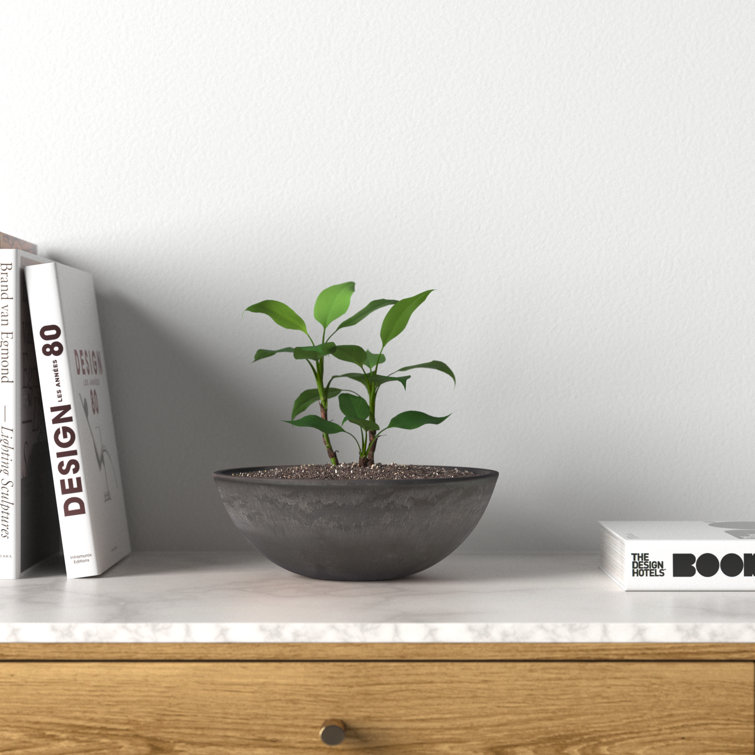 Eco-Friendly Dark Charcoal 12" Round Garden Bowl Planter