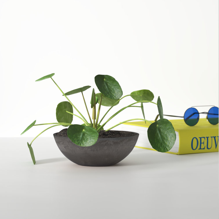 Eco-Friendly Dark Charcoal 8" Round Indoor/Outdoor Planter