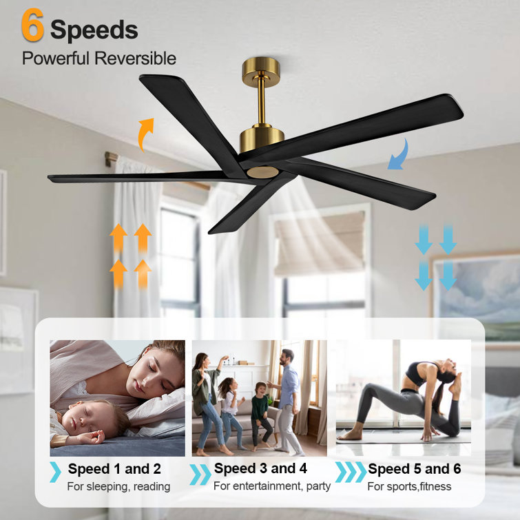 54" Gold and Black 5-Blade Ceiling Fan with Remote