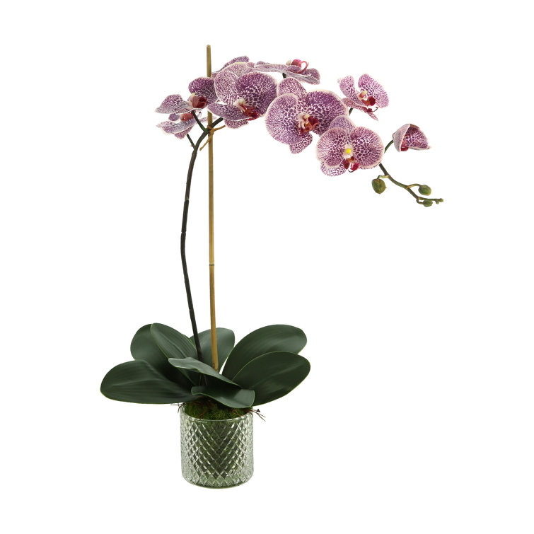 Purple Polysilk Orchid Floral Arrangement in Glass Vase