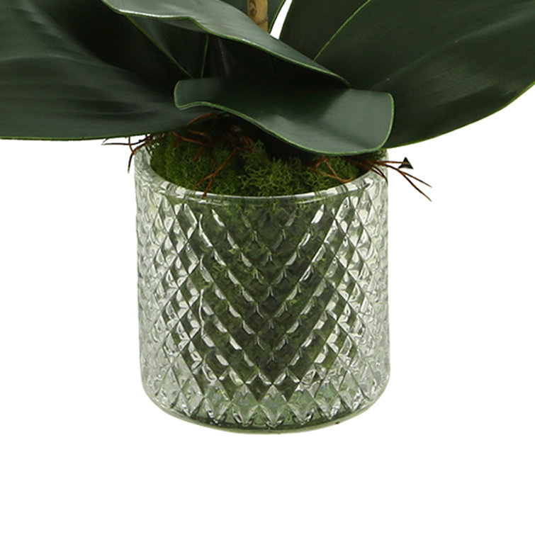 Purple Polysilk Orchid Floral Arrangement in Glass Vase