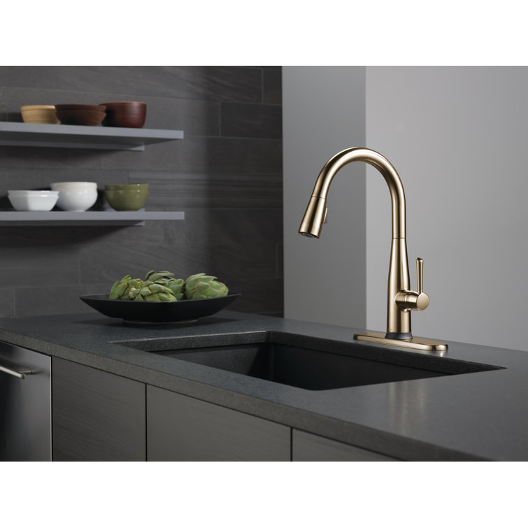 Champagne Bronze Single Handle Pull-Down Kitchen Faucet with Touch2O Technology