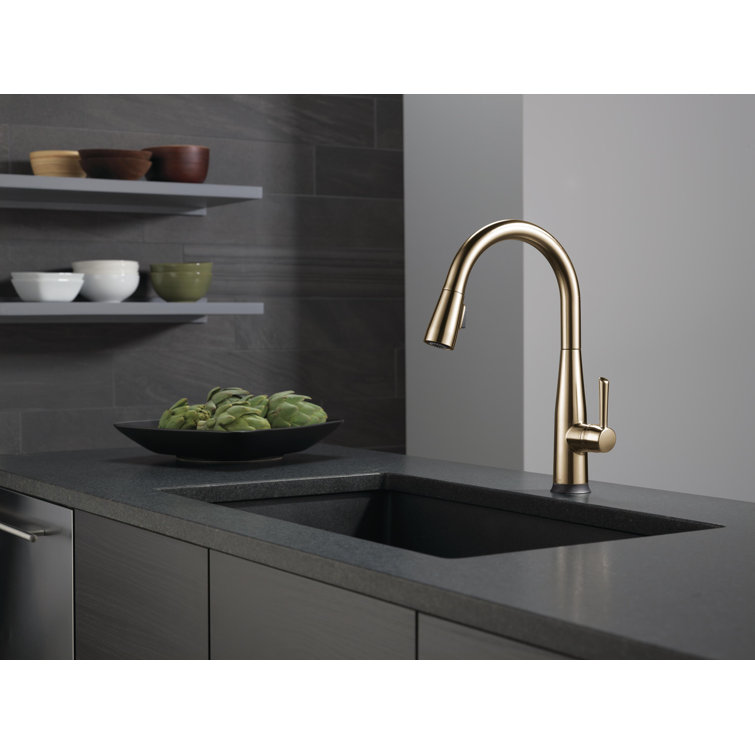 Champagne Bronze Single Handle Pull-Down Kitchen Faucet with Touch2O Technology