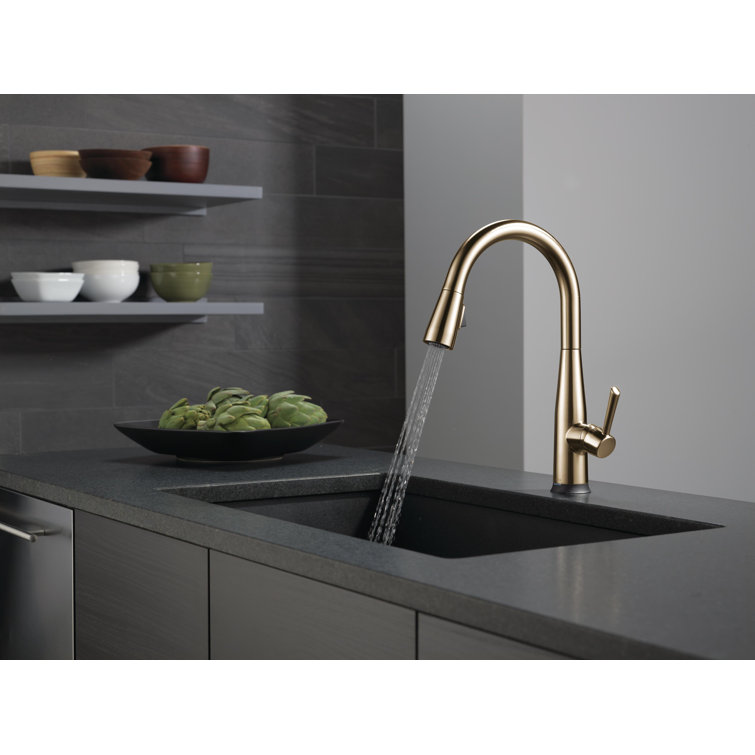 Champagne Bronze Single Handle Pull-Down Kitchen Faucet with Touch2O Technology