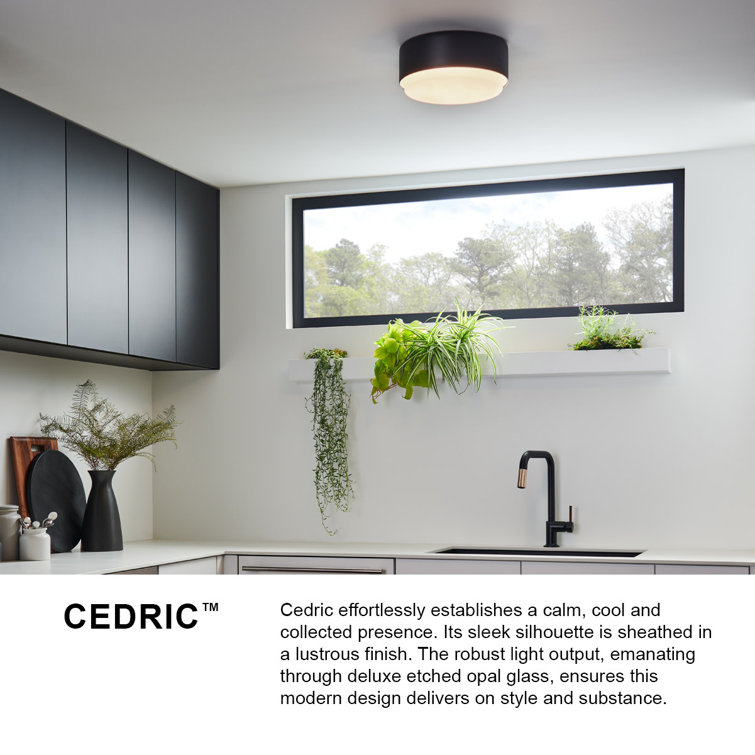 Cedric Lacquered Brass 12" Flush Mount with Etched Opal Glass