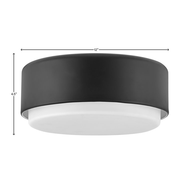 Fitzgerald Black Etched Opal Glass 2-Light Modern Flush Mount