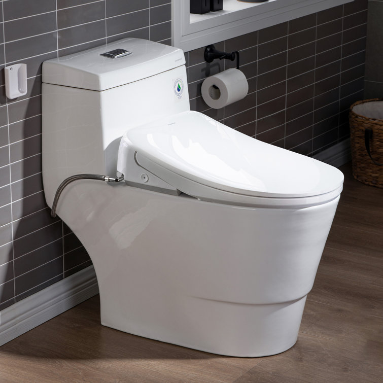 White Porcelain Elongated One Piece Toilet with Electric Bidet